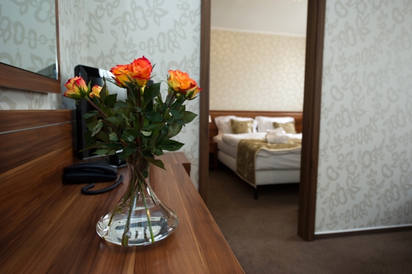 Wellness Hotel Spark (Malacky)